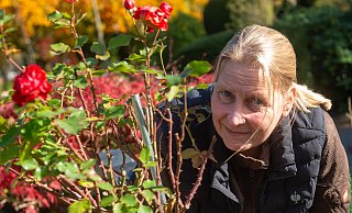 Die meisten Pflanzen benötigen keinen Kälteschutz mehr. Nur bei Rosensträuchern wie diesen rät Friedhofsgärtnerin Kathrin Eichholz zum Schutz empfindlicher Teile mit Vlies oder Tannenzweigen. - Ralf Bittner