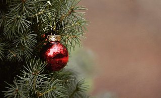 Bald werden die ausgedienten Weihnachtsbäume in Spenge abgeholt. - Pixabay
