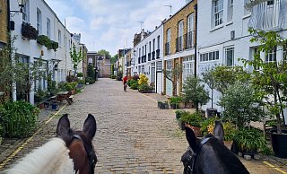 Die Hyde Park Gardens Mews: früher das Zuhause der Pferde und Bediensteten - heute gefragte Immobilien. - Dörte Nohrden/dpa-tmn