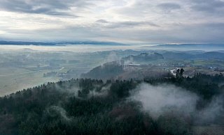 Nebel liegt über dem Wald bei Obereisenbach im Allgäu. Böden und Pflanzen speichern CO2 - es ist natürlicher Klimaschutz. - Felix Kästle/dpa