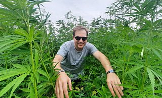 Hereinspaziert: Malte Janßen im Hanffeld in Steinheim, in dem am Wochenende ein entspanntes Festival gefeiert wird. - David Schellenberg