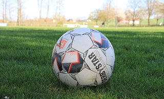 Der Sportplatz Bredenborn wird vorerst nicht in einen Kunstrasenplatz umgewandelt. - David Schellenberg