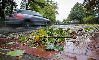 Ein Auto fährt bei stürmischem Wetter an heruntergefallenen Ästen und Blättern vorbei – der Deutsche Wetterdienst warnt vor Sturmböen in OWL. - Focke Strangmann/dpa