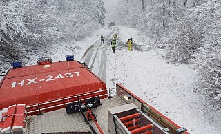 Auch die Feuerwehren aus Bosseborn und Ovenhausen sind im wetterbedingten Einsatz. Auf der L890 zwischen den beiden Ortsteilen war aufgrund der Schneelast ein Baum umgefallen. - Feuerwehr Höxter