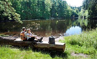 Am Donoper Teich am Residenzweg bei Detmold. - Teutoburger Wald Tourismus
