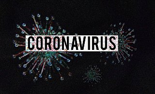 Das neuartige Coronavirus hat die Welt fest im Griff. - Pixabay