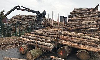 In ausgehöhlten Teakholz-Bäumen fand die Polizei Paderborn zwölf Kilogramm Kokain. - Polizei Paderborn