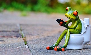 Das Problem fehlender Toiletten in der Bielefelder Innestadt sollte bald beseitigt sein. - Symbolbild Pixabay
