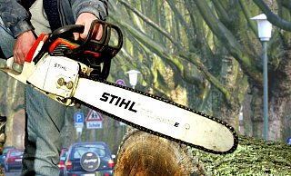 Motorsäge (Symbolbild). - Stefan Boscher