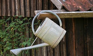 Die Gießkanne hat Pause. In Bad Oeynhausen ist das Wässern im Garten verboten. - Manfred Richter / pixabay