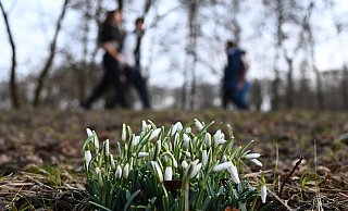 Nach Eis und Schnee können sich die Menschen in NRW nun über frühlingshaftes Wetter freuen. Doch einigen macht der Umschwung stark zu schaffen. - picture alliance