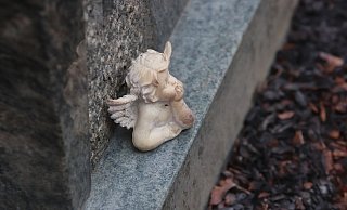 Dieser Engel hat den Brand zwischen zwei Familiengräbern auf dem Friedhof Gohfeld am Ostersonntag überlebt. - Ulf Hanke