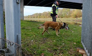 Symbolfoto: Die Polizei suchte in Bünde auch mit Hunden nach einem Vermissten. - Heike von Schulz