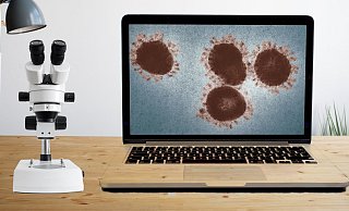 Wie schnell kommen die Testmeldungen zu Corona in den Statistiken an? - Pixabay