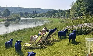 Ein Blick von der Weserscholle während der Landesgartenschau auf Höxter. - Simone Flörke