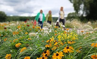 Mehr als 120 Fotos, ähnlich wie dieses von der Landesgartenschau in Höxter, sind in der neuen Foto-Ausstellung im Hütteschen Haus ab dem Wochenende zu bewundern. - Symbolbild: LGS