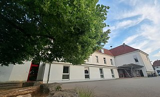 Für grüne Idylle auf dem Schulhof: Vinsebecks Schule an den Linden soll die markante hochgewachsene Linde behalten - durchaus knapp wird der Neubau nun an ihr vorbei geplant. - Madita Schellenberg
