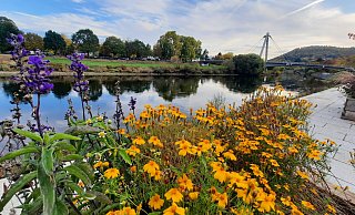 Die Weser im Herbst: Still fließt sie dahin, der Wasserstand ist immer noch niedrig. - David Schellenberg
