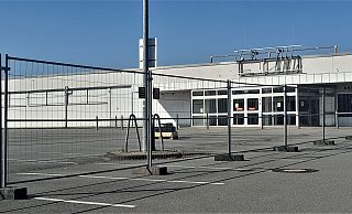 Tristesse mit Baumzäunen in Brakel. - Simone Flörke