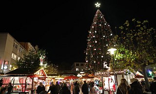 20 Meter hoch ragt die Nordmanntanne über den Weihnachtsmarktbuden auf dem Alten Markt auf. - Frank-Michael Kiel-Steinkamp