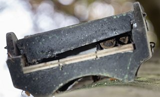 Gutes Versteck: Ein Flachkasten dient Fledermäusen als Unterschlupf. - Swen Pförtner/dpa/dpa-tmn