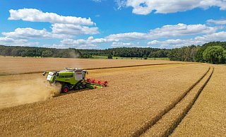Ein Landwirt erntet mit seinem Mähdrescher Gerste auf einem Feld in Ostbrandenburg. - Patrick Pleul/dpa