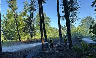 Zweieinhalb Stunden lang kontrollierte die Feuerwehr die Lichtung, auf der es gebrannt hatte, - Feuerwehr Enger
