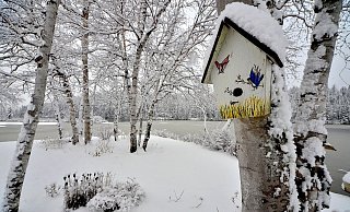 Wildvögel sind jetzt auf Futter angewiesen - der Boden ist gefroren und mit Schnee bedeckt. - Symbolfoto/Pixabay