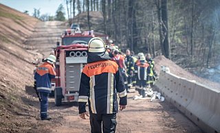 Die Regionalforstämter und der Deutsche Wetterdienst stufen die Waldbrandgefahr als erheblich ein. - Symbolfoto: Pixabay