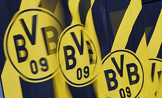 Der BVB geht juristisch gegen Wahlwerbung der AfD vor (Illustration) - Bernd Thissen/dpa