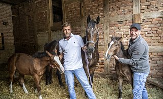 Dennis Malett (l.) und Dennis Flues mit den Fohlenzwillingen Sonny und Sallysowie Mutterstute "Calina Blue". - Jörg Dieckmann