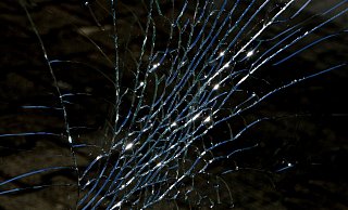 Der Täter soll eine Autoscheibe eingeschlagen haben. Symbolbild: Pixabay