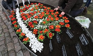 Blumeninseln sollen – wie 2018 – auch in diesem Frühjahr in der Innenstadt erblühen und für Freude sorgen. - Simone Flörke