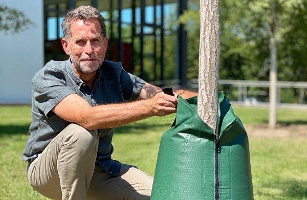 Volker Braun leitet das Umweltamt in Hiddenhausen und zeigt einen von 120 Wasserbeuteln, mit denen die Gemeindeverwaltung Bäume bewässern lässt. In diesem Fall ist es eine Ulme, die vor der Sporthalle der Olof-Palme-Gesamtschule steht. - © Alexander Jenniches