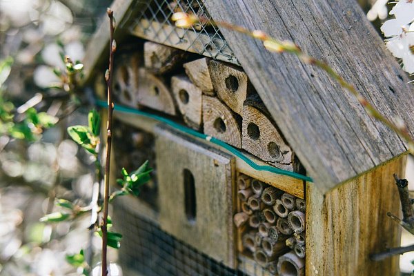 Ein Insektenhotel dient als Nisthilfe, insbesondere für Wildbienen. - © Unsplash (Symbolfoto)