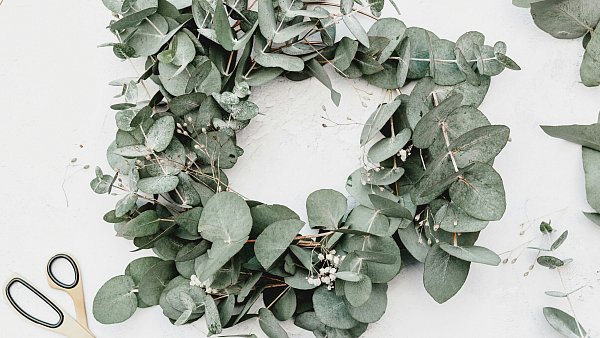 Ein Kranz aus Eukalyptus punktet nicht nur optisch, er hat auch einen besonders aromatischen Geruch. - © Symbolbild: Unsplash