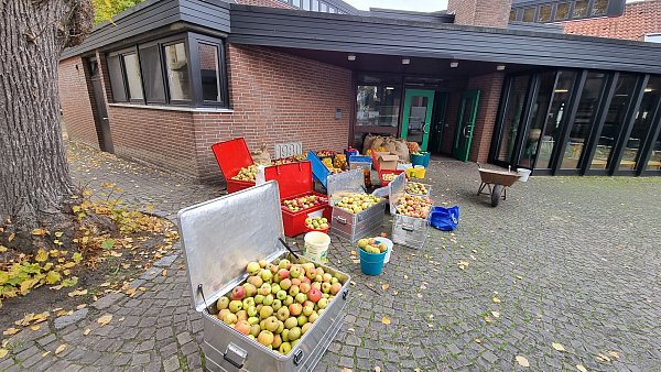 Am Gemeindehaus wurden über 3.000 Kilo Äpfel abgegeben. Das hier ist nur ein Teil. - © Kristin Springer