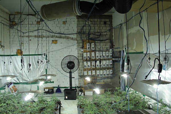 Auch der Cannabis-Nachwuchs wurde mit spezieller Plantagen-Technik vorangetrieben - © Polizei Paderborn