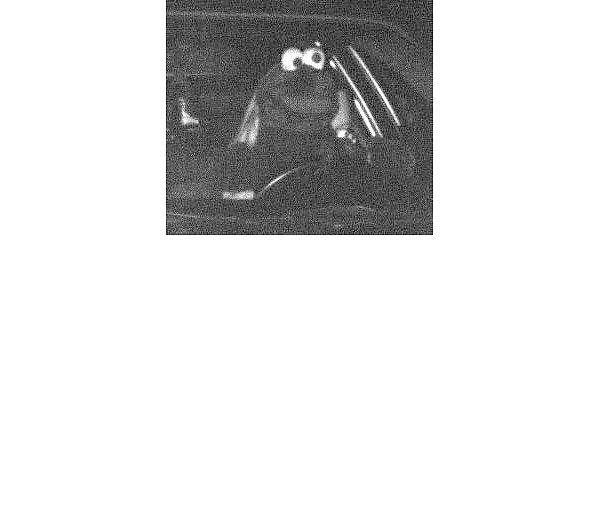 So saß der Fahrer (oder die Fahrerin) am Steuer. - © dpa/Polizei Dortmund