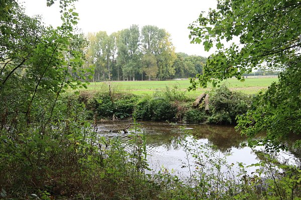 Der Blick auf die Werre im NSG Heipker See, gegenüber liegt das Naturschutzgebiet Holzhauser Bruch (Bad Salzuflen). - © Birgit Guhlke