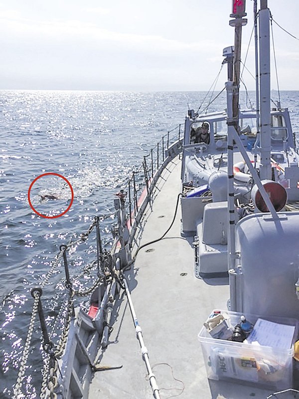 Begleitet vom Boot: Der Extremsportler André Wiersig schwimmt von Nordirland nach Schottland und wird währenddessen von Bord aus mit Flüssignahrung versorgt. - © Jürgen Peters