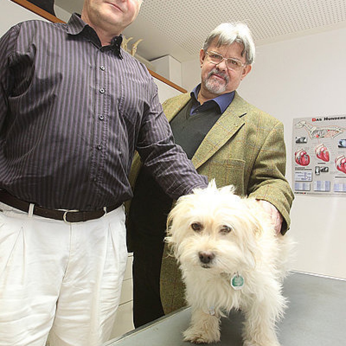 Tierärztliche Praxis - Dr. Jürgen Scholten Tierärztliche Praxis - Dr. Jürgen Scholten