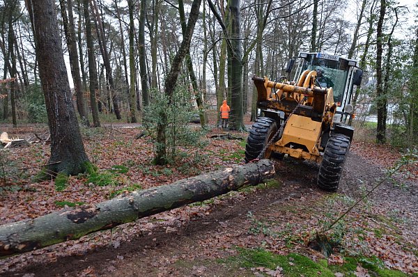 Schweres Gerät: Zum Vorteil des Bauhofes können die Arbeiter im Waldstück bei Niederwahrenbrock mit dem Radlader arbeiten. - © Jonas Damme