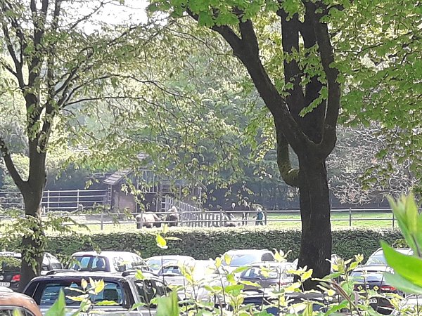 Die Szene vom 1. Mai - aufgenommen von einer Besucherin. - © NW