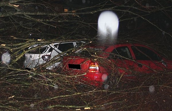 Drei Autos wurden in Espelkamp beschädigt. - © Polizei