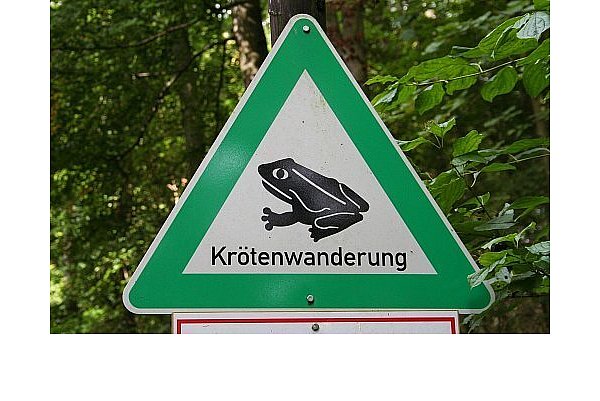 Schilder weisen Autofahrer auf die Krötenwanderung hin. | - © Symbolbild/Pixabay