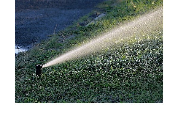 Bewässerungssysteme sollten im Sommer regelmäßig überprüft werden. - © Symbolbild/Pixabay