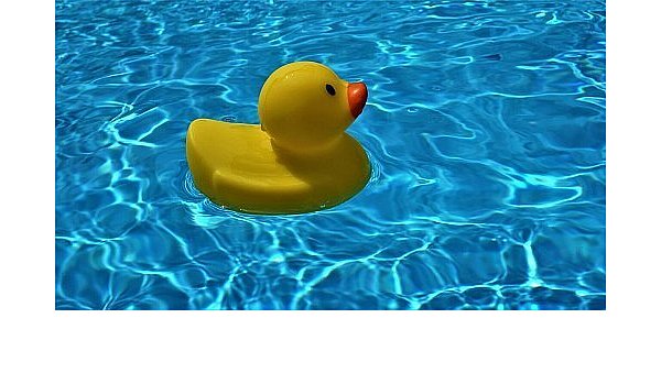 Planschen im Pool ist im Home Office zwar nicht unbedingt verboten, aber auch nicht die beste Idee. - © Symbolbild/Pixabay