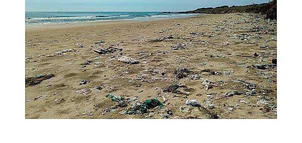 Für die Meereslebewesen ist Plastikmüll im Wasser eine große Gefahrenquelle. - © Symbolbild/Pixabay