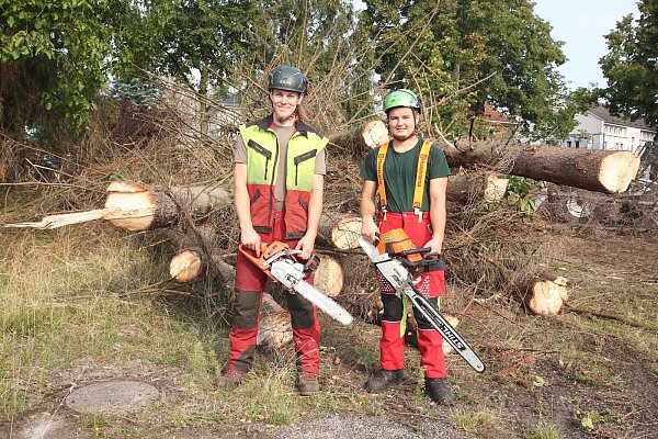 Der extrem trockene Sommer hat den Fichten auf dem Gütex-Gelände den Rest gegeben. Ein Job für die Baumfäller Aaron Spieker (l.) und Boban Dunkaric. - © Nicole Hille-Priebe